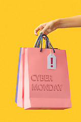 Image showing Female hand holding bright shopping bags