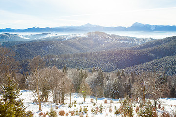 Image showing View of beautiful snowy mountains, forests