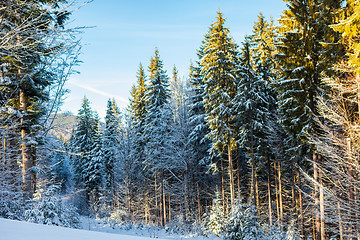 Image showing View of beautiful snowy mountains, forests