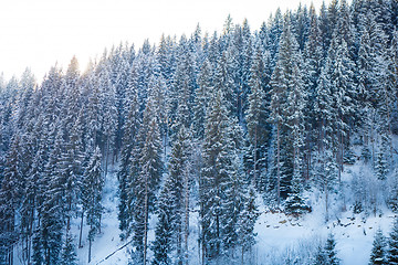 Image showing View of beautiful snowy mountains, forests