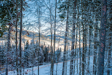 Image showing View of beautiful snowy mountains, forests