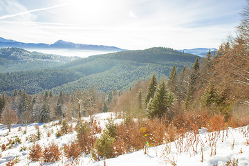 Image showing View of beautiful snowy mountains, forests