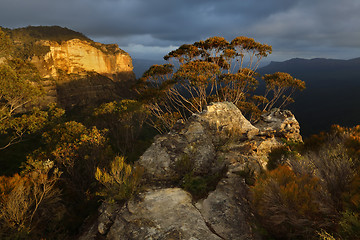 Image showing Blue Mountains Australia