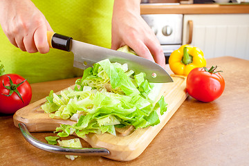 Image showing Woman\'s hands cutting vegetables