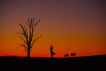 Image showing Sunset Meditation Vriksasana