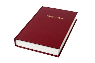 Image showing Holy Bible on white