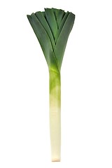 Image showing Leek on White