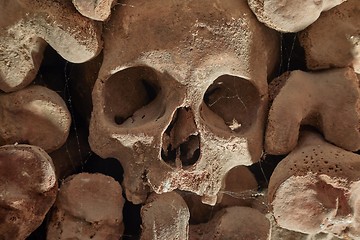 Image showing Skulls and bones in a wall