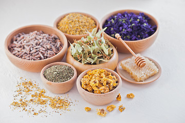 Image showing herbalism