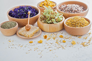 Image showing herbalism