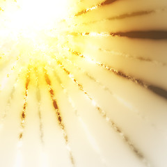 Image showing abstract golden sun burst