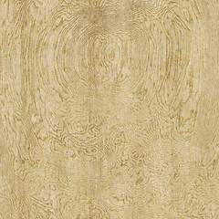 Image showing gnarled wooden background texture