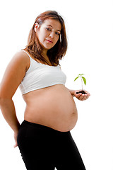 Image showing Pregnant woman