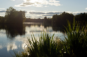 Image showing Landscape with a river, trees and plants. Sweden