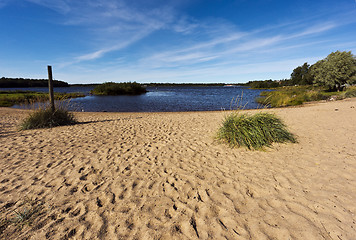 Image showing Sandy shore and water in late summer. Finland