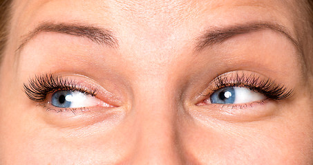 Image showing Face woman with eyes and eyelashes