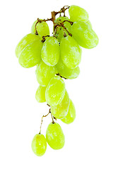 Image showing Bunch of Grapes