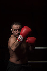 Image showing professional kickboxer in the training ring