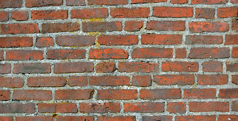 Image showing brick wall