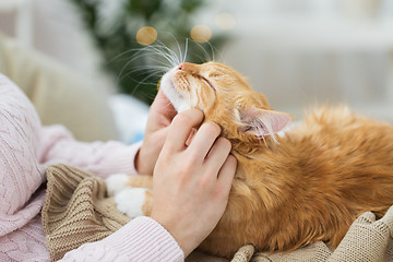 Image showing close up of owner stroking red cat in bed at home