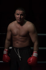 Image showing portrait of muscular professional kickboxer