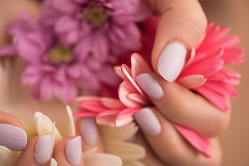 Image showing woman hands with manicure holding flower