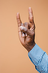 Image showing Male, man, hipster, in shirt, hand raised showing a heavy metal rock sign