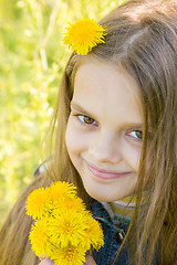 Image showing Portrait of a happy eight year old girl with dandelions in hands, against a background of green foliage