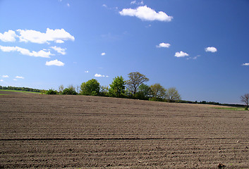 Image showing field - spring