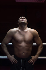 Image showing portrait of muscular professional kickboxer