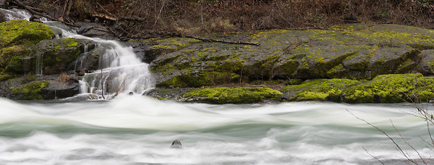 Image showing Mossy Waterfall Riverbank Umpqua River National Forest Oregon