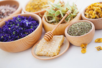 Image showing herbalism