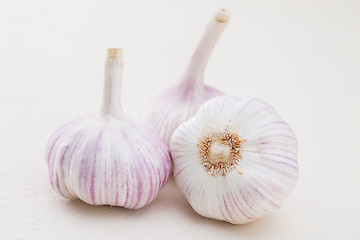 Image showing garlic bulbs on white background
