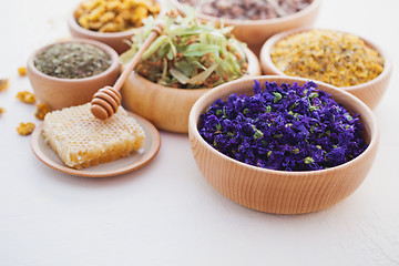 Image showing herbalism