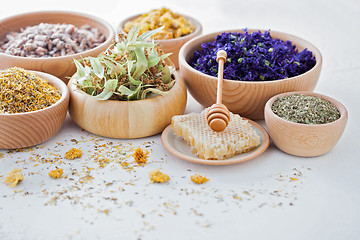 Image showing herbalism