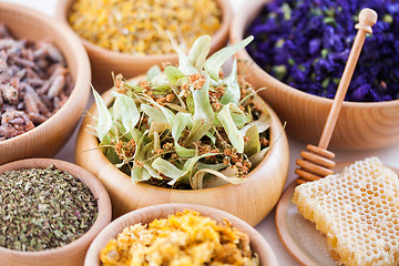 Image showing herbalism