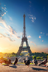 Image showing Eiffel Tower and doves