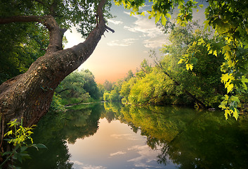 Image showing Pond at sunset