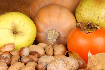 Image showing Autumn fruits