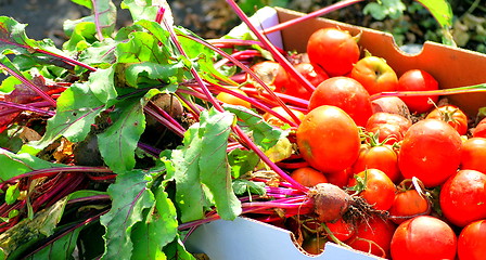 Image showing Organic beets and tomatoes.