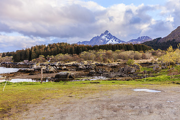 Image showing on the shore