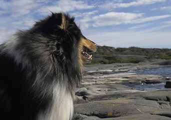 Image showing looking out