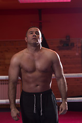 Image showing portrait of muscular professional kickboxer