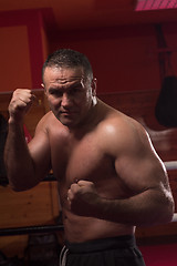 Image showing professional kickboxer in the training ring