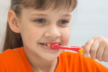 Image showing Seven-year-old girl brushes teeth, close-up