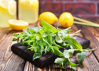 Image showing fresh mint