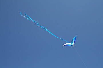 Image showing The Blue Kite