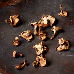 Image showing Dried Chanterelles Mushrooms