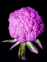 Image showing Fresh Purple Cauliflower