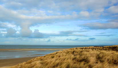 Image showing Landscape of Nationalpark Duinen van Texel